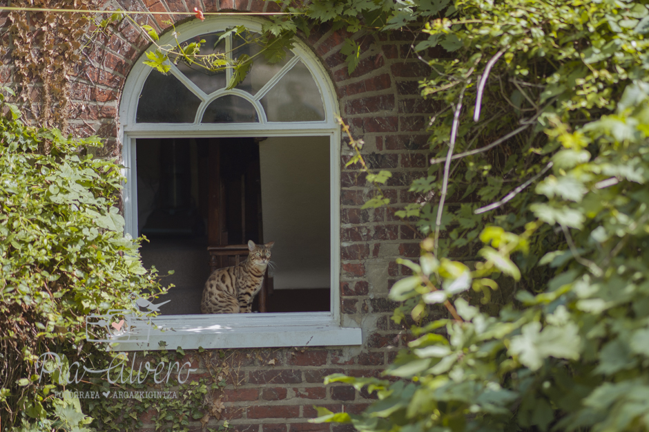 piaalvero reportaje preboda inglaterra wedding england-32