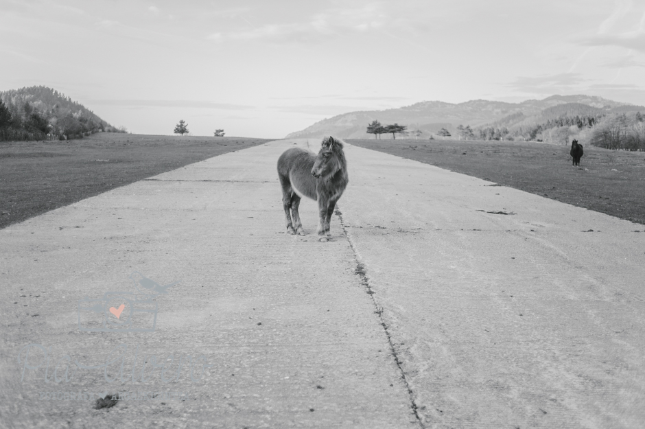 piaalvero fotografia bebe en bilbao-13