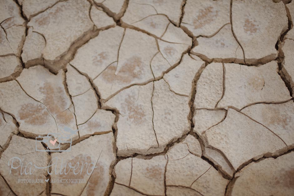 piaalvero fotografia de boda Bilbao y Navarra-87