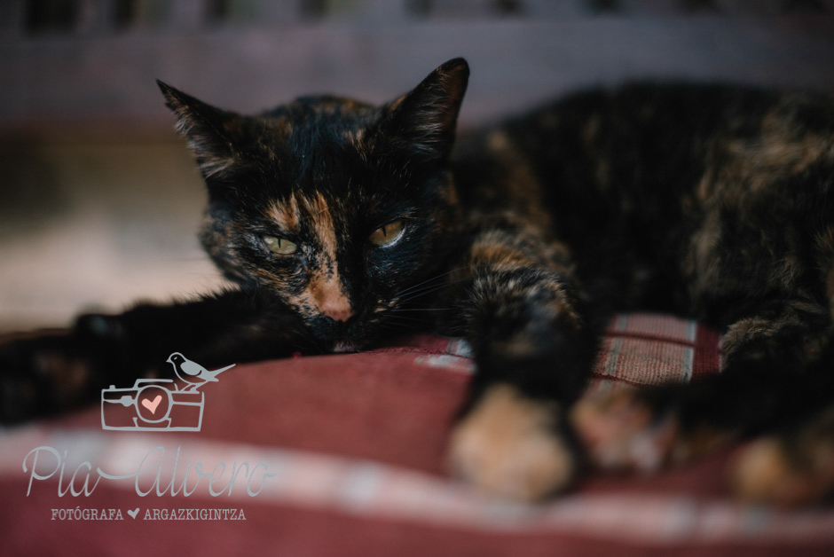 piaalvero-fotografia-de-boda-alava-104