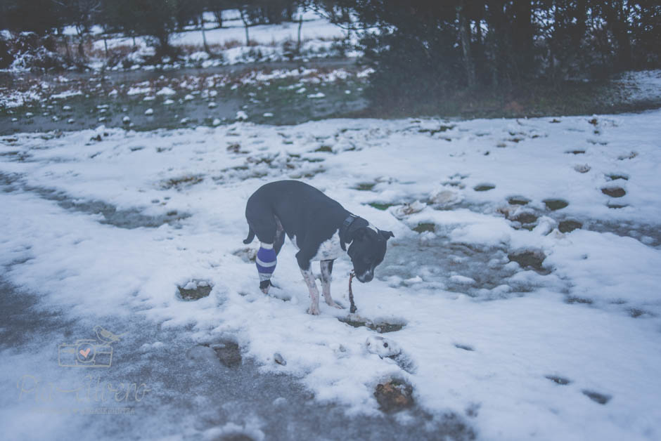 piaalvero-fotografia-de-boda-en-bilbao-120