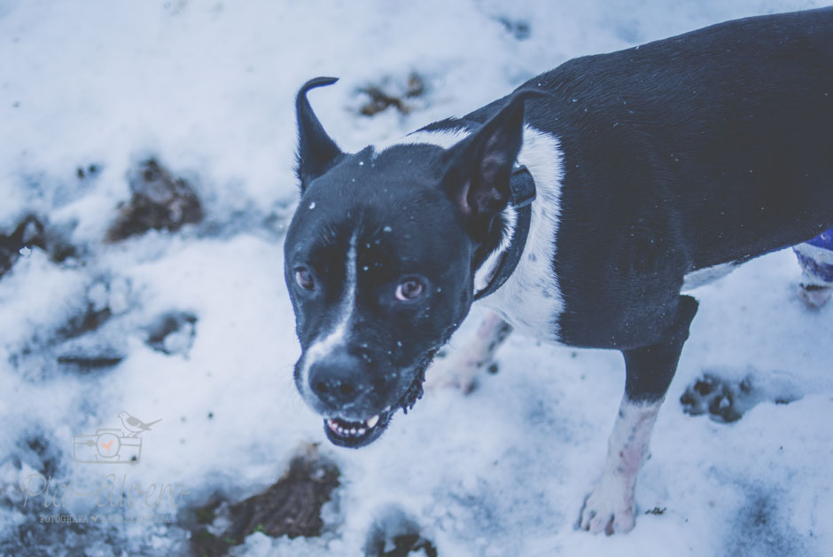 piaalvero-fotografia-de-boda-en-bilbao-15
