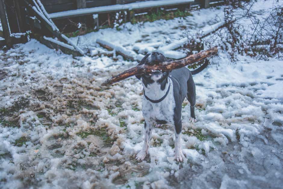 piaalvero-fotografia-de-boda-en-bilbao-221