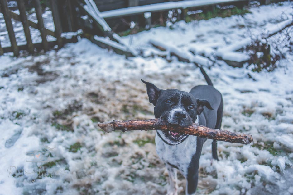 piaalvero-fotografia-de-boda-en-bilbao-223