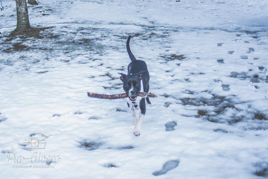 piaalvero-fotografia-de-boda-en-bilbao-244