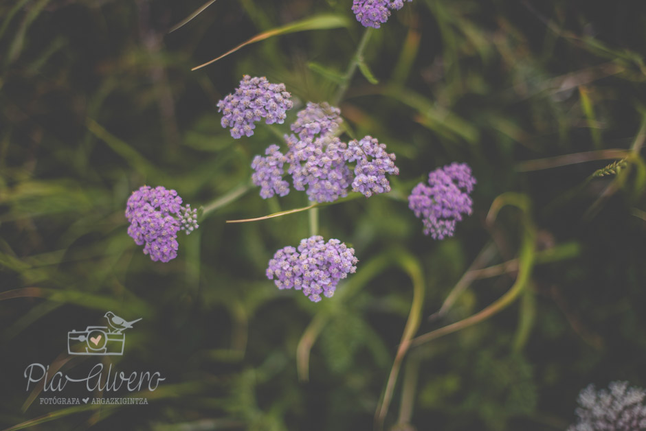 piaalvero fotogafia preboda bilbao-122