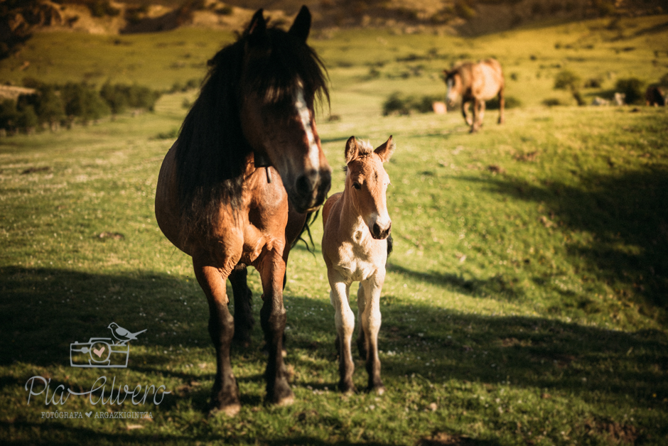 Pia Alvero fotografia preboda en Gorbea Bizkaia-191