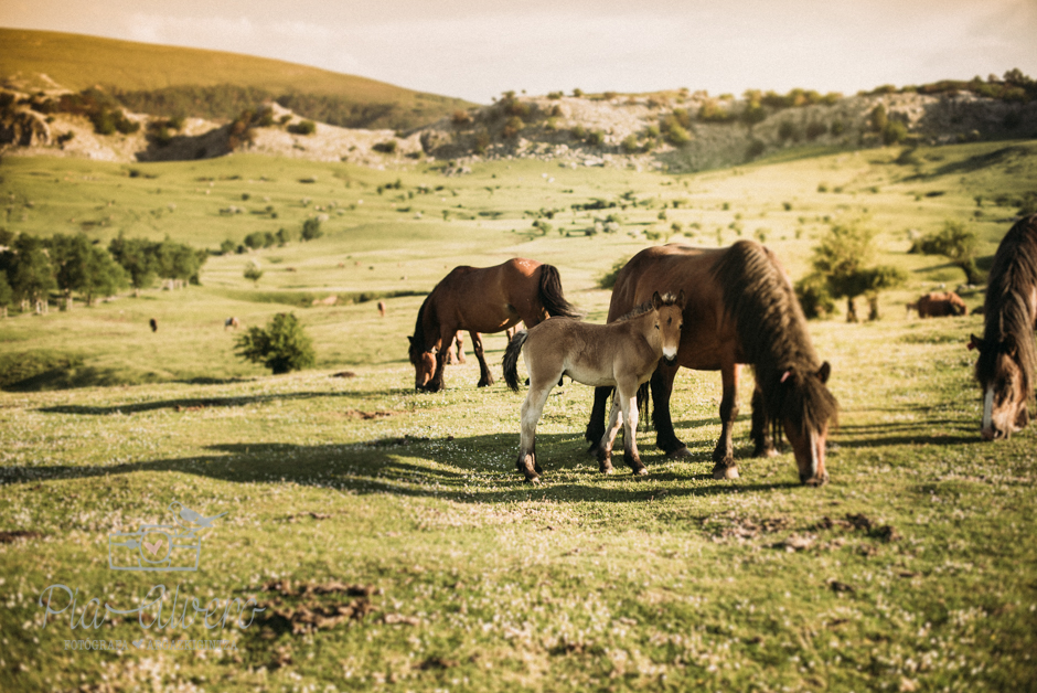 Pia Alvero fotografia preboda en Gorbea Bizkaia-212